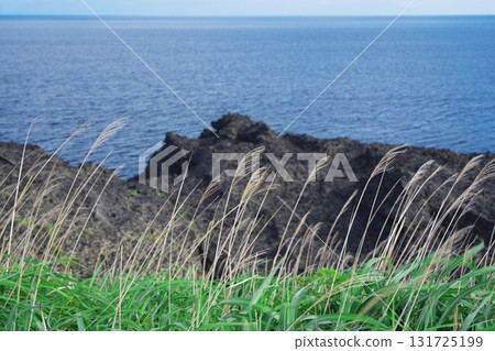 津輕半島的夏天：枯萎的芒草和五十間崎的奇岩怪石 131725199