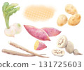 美味十月秋季根莖類蔬菜套裝（地瓜、蘿蔔、馬鈴薯、牛蒡、蓮藕）的水彩插圖 131725603