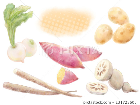 Watercolor illustration of delicious October autumn root vegetables set (sweet potato, turnip, potato, burdock, lotus root) Watercolor illustration of delicious October autumn root vegetables set (sweet potato, turnip, potato, burdock, lotus root) 131725603
