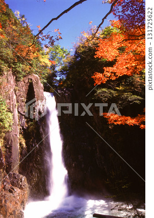 秋葉環繞的瀑布 131725622