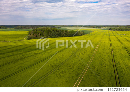 aerial view to countryside with green agricultural fields and forests aerial view to countryside with green agricultural fields and forests 131725634
