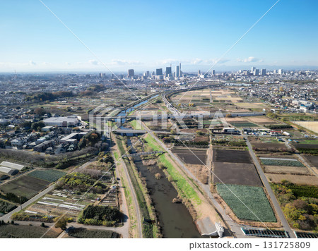 Aerial view of the Minuma rice fields in autumn in Saitama Prefecture, Saitama City 131725809