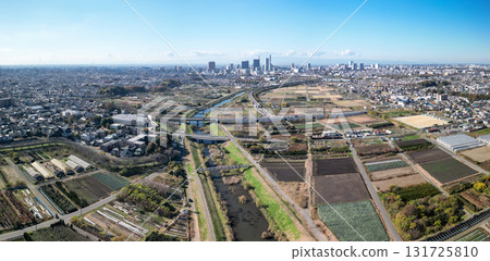 埼玉縣埼玉市秋季見沼稻田的鳥瞰圖 埼玉縣埼玉市秋季見沼稻田的鳥瞰圖 131725810