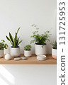 A collection of potted houseplants in white containers sits on a wooden shelf. The bright indoor setting highlights the minimalist and modern design. 131725953