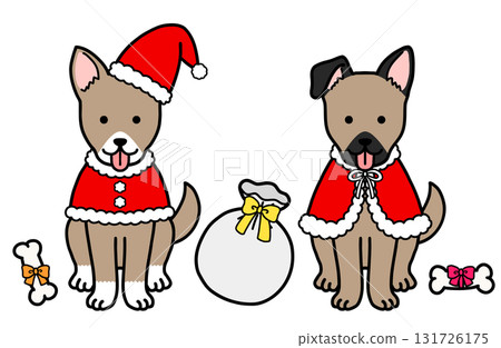 穿著聖誕服裝的狗、救援犬和混種狗 穿著聖誕服裝的狗、救援犬和混種狗 131726175
