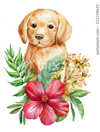 Golden Retriever Puppy with Red Hibiscus and Tropical Leaves Watercolor Illustration. Floral art for home decoration posters  131726635