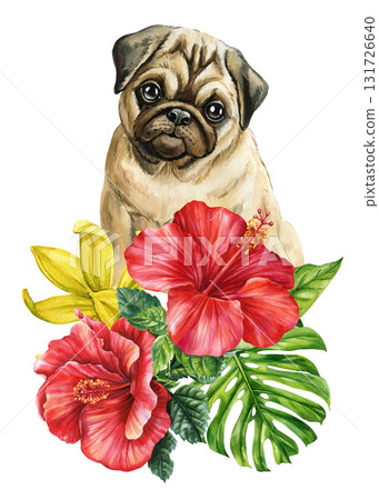 Pug Dog with Red Hibiscus and Yellow Lily Flowers Watercolor Illustration. Cute puppy tropical poster 131726640