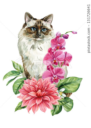 Cat with Pink Orchid and Dahlia Flowers Watercolor Cozy Illustration, Cute animal for design Cat with Pink Orchid and Dahlia Flowers Watercolor Cozy Illustration, Cute animal for design 131726641
