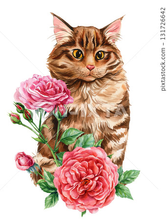 Brown Tabby Cat with Pink Roses Watercolor Illustration romantic floral art for home decoration posters and prints Brown Tabby Cat with Pink Roses Watercolor Illustration romantic floral art for home decoration posters and prints 131726642