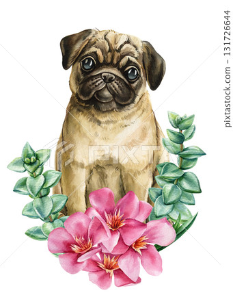 Pug Dog with Pink Oleander and Eucalyptus Watercolor Illustration adorable pet isolated background for cute animal design Pug Dog with Pink Oleander and Eucalyptus Watercolor Illustration adorable pet isolated background for cute animal design 131726644