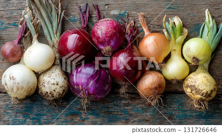 growing onion bulbs: different varieties 131726646