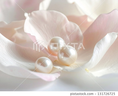 美麗的珍珠背景襯有花瓣 | 優雅乾淨的奢華設計材料 131726725