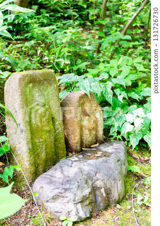 Fresh greenery at Jojakkoji Temple, Jizo statue in the garden, the site where the Ogura Hyakunin Isshu was compiled (the site of Fujiwara Teika's Ogura mountain villa, Shiguretei) 131726730