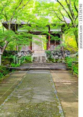 Fresh greenery at Jojakkoji Temple, Niomon Gate and green maples, Oguramachi, Saga, Kyoto (the site of Fujiwara Teika's Ogurayama Villa "Shiguretei") Fresh greenery at Jojakkoji Temple, Niomon Gate and green maples, Oguramachi, Saga, Kyoto (the site of Fujiwara Teika's Ogurayama Villa "Shiguretei") 131726740