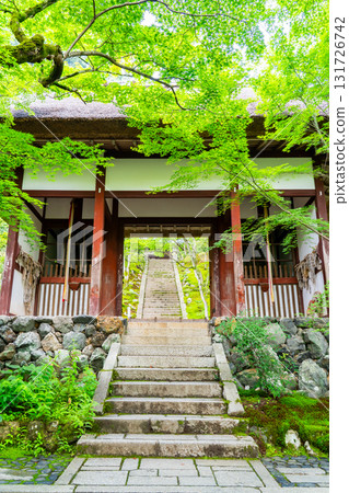 Fresh greenery at Jojakkoji Temple, Niomon Gate and green maples, Oguramachi, Saga, Kyoto (the site of Fujiwara Teika's Ogurayama Villa "Shiguretei") Fresh greenery at Jojakkoji Temple, Niomon Gate and green maples, Oguramachi, Saga, Kyoto (the site of Fujiwara Teika's Ogurayama Villa "Shiguretei") 131726742