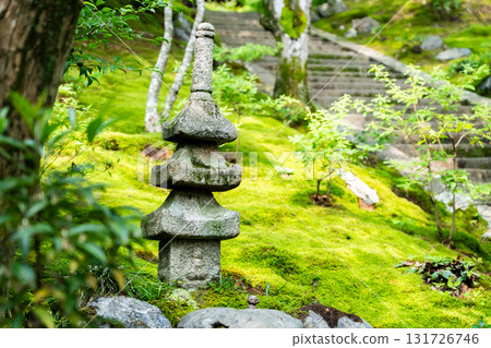 Fresh greenery at Jojakkoji Temple, a moss garden and stone pagoda. The site where the Ogura Hyakunin Isshu was compiled (the site of Fujiwara Teika's Ogura mountain villa, Shiguretei) 131726746