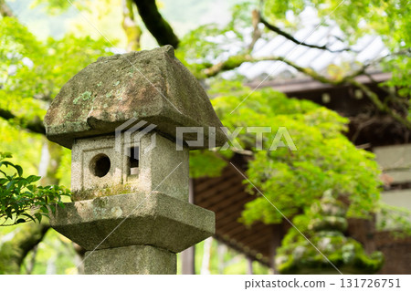 Fresh greenery in the grounds of Jojakkoji Temple; stone lanterns in the temple grounds; the site where the Ogura Hyakunin Isshu was compiled (the site of Fujiwara Teika's Ogura mountain villa, Shiguretei) Fresh greenery in the grounds of Jojakkoji Temple; stone lanterns in the temple grounds; the site where the Ogura Hyakunin Isshu was compiled (the site of Fujiwara Teika's Ogura mountain villa, Shiguretei) 131726751
