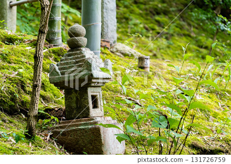 常寂光寺的新綠、苔蘚庭園和石塔。小倉百人一首的編纂地（藤蔓原定家的小倉山莊時雨亭遺址） 131726759