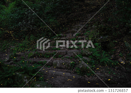 Fireflies of Mount Homan Fireflies of Mount Homan 131726857