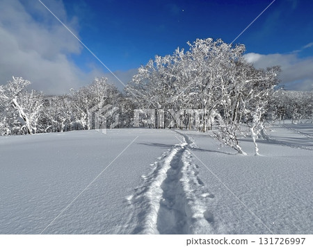 雪山路 雪山路 131726997
