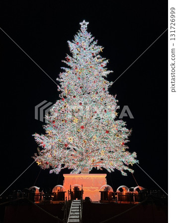 A huge Christmas tree floating in Hakodate Bay 131726999
