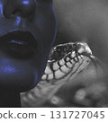 Collage illustration of woman portrait and snake 131727045