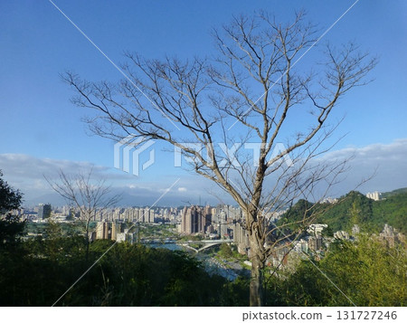 台灣新北-02.27.2023:新店區和美山頂樹,遠處是台北的高別墅 台灣新北-02.27.2023:新店區和美山頂樹,遠處是台北的高別墅 131727246