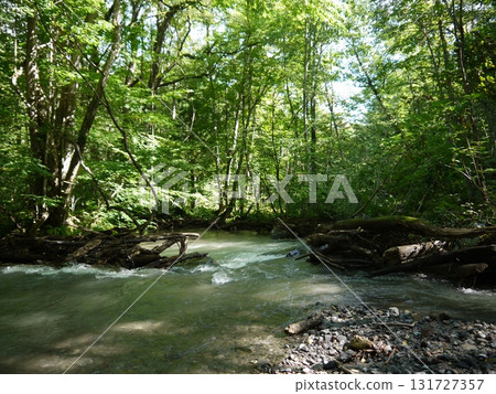 Oirase Gorge surrounded by fresh greenery Oirase Gorge surrounded by fresh greenery 131727357