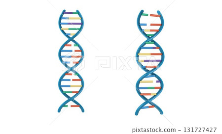 Normal DNA vs Point Mutation Comparison Normal DNA vs Point Mutation Comparison 131727427