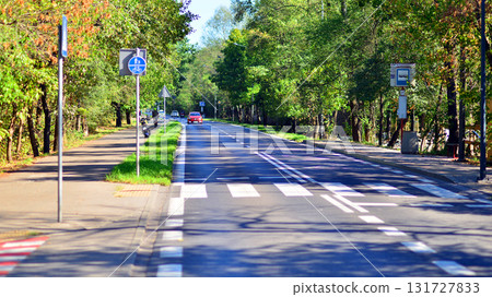 Jozefow, Poland. 21 September 2025. Road and green landscape at sunny day. 131727833
