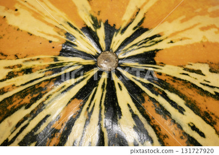 A spooky Halloween Pumpkin Squash in Unique Abstract Orange and Green Colours on White Background 131727920