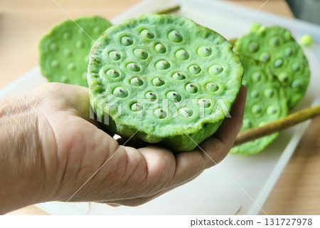 Hand Holding Fresh Lotus Seed Pods for Snack Hand Holding Fresh Lotus Seed Pods for Snack 131727978