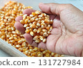 Hand Scooping Dried Golden Popcorn Kernels for Snack 131727984