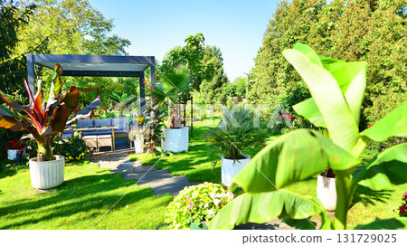 Beautiful summer garden with green grass, exotic plants and aluminum pergola. Professional luxury gardening concept. 131729025