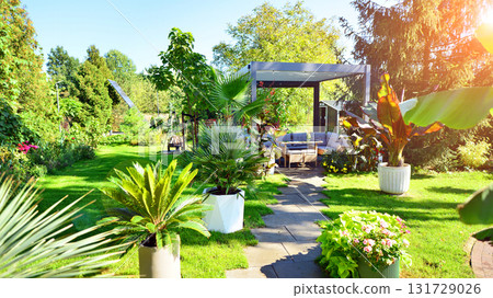 Beautiful summer garden with green grass, exotic plants and aluminum pergola. Professional luxury gardening concept. 131729026