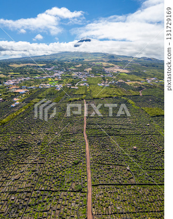 Mount Pico, Basalt Stone Walls and Vineyards on Pico Island. Azores. Portugal. Aerial View Mount Pico, Basalt Stone Walls and Vineyards on Pico Island. Azores. Portugal. Aerial View 131729169