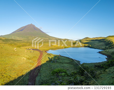 Mount Pico, Azores Juniper Trees and Lake Lagoa do Capitao. Pico Island, Azores. Portugal. Aerial 131729193