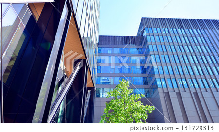 Glass office building surrounded with green trees. Eco-friendly office building. Sustainable architecture of city reducing heat carbon dioxide modern city environment. Glass office building surrounded with green trees. Eco-friendly office building. Sustainable architecture of city reducing heat carbon dioxide modern city environment. 131729313
