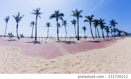 Beach Palm Trees Promenade Silhouette Landscape 131730212