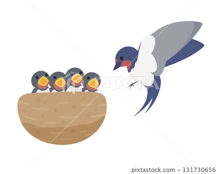 Illustration of a swallow trying to feed its chicks Illustration of a swallow trying to feed its chicks 131730656