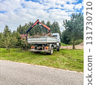 Truck with Crane Loading Tree Branches in Countryside 131730710