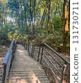 Wooden Stairway with Railings in Green Forest 131730711