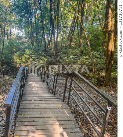 Wooden Stairway with Railings in Green Forest 131730711