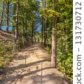 Hiker Walking Along Sunny Forest Trail 131730712