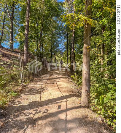 Hiker Walking Along Sunny Forest Trail 131730712
