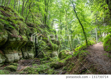 Beautiful green forest Hiking path with Sandstone chalk rock formations in Berdorf Mullerthal Luxembourg 131730714