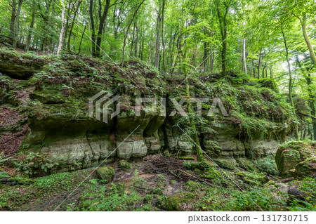 Beautiful green forest Hiking path with Sandstone chalk rock formations in Berdorf Mullerthal Luxembourg 131730715
