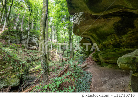 Beautiful green forest Hiking path with Sandstone chalk rock formations in Berdorf Mullerthal Luxembourg 131730716