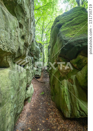 Beautiful green forest Hiking path with Sandstone chalk rock formations in Berdorf Mullerthal Luxembourg 131730719