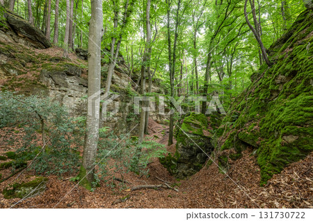 Beautiful green forest Hiking path with Sandstone chalk rock formations in Berdorf Mullerthal Luxembourg 131730722